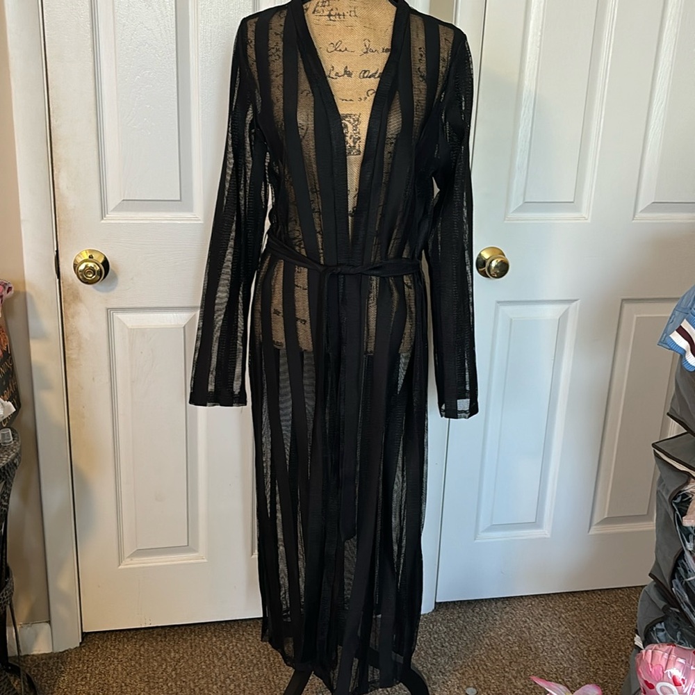 Back Mesh Duster